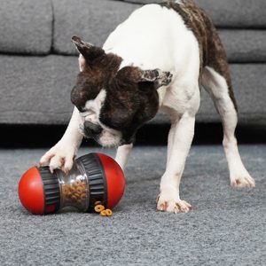 Roll-Feeder-Toy-For-Dog